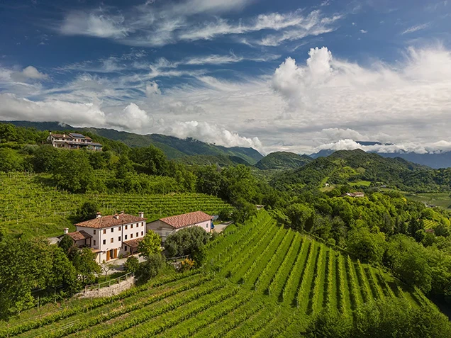 Azienda Agricola Mondragone - Coltivazione e vinificazione da quattro generazioni