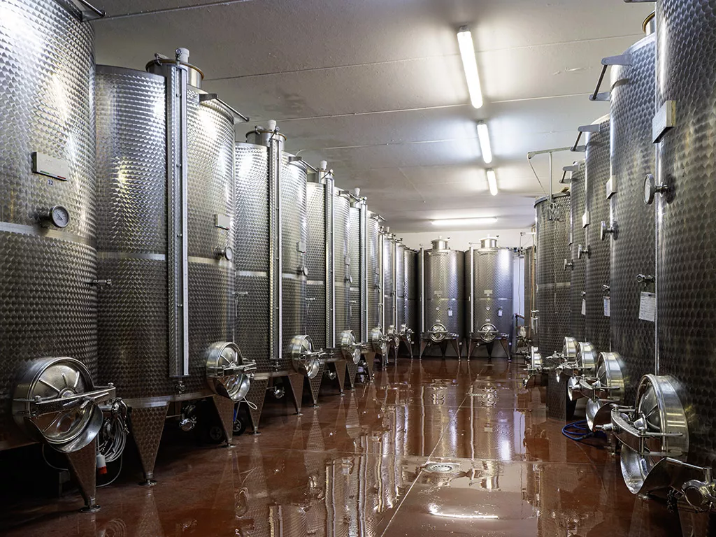 Cantina produzione vini Treviso