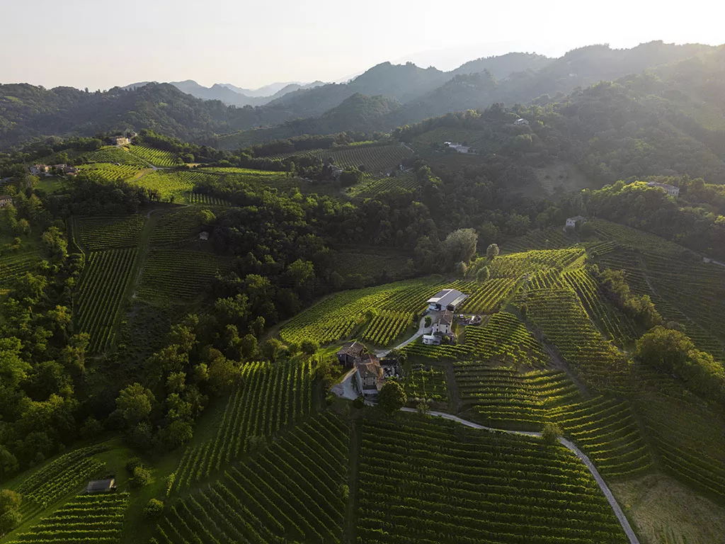 Territorio Unesco - Colline del Conegliano Valdobbiadene Prosecco Superiore DOCG